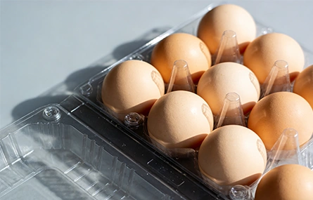 Egg Tray